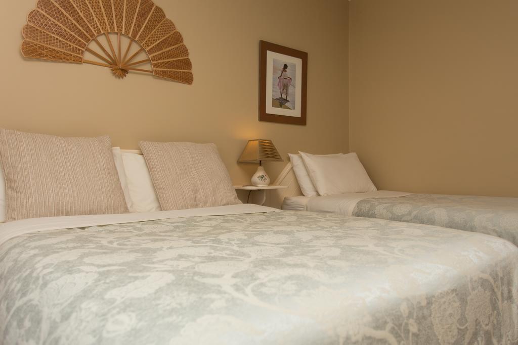 Fern Rock Bed And Breakfast Dromin Экстерьер фото