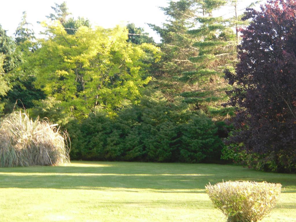 Fern Rock Bed And Breakfast Dromin Экстерьер фото